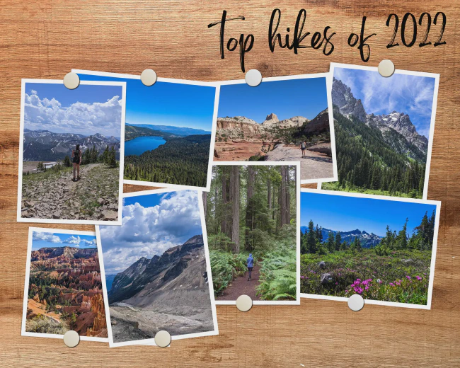 Our 8 Favorite Hikes of 2022